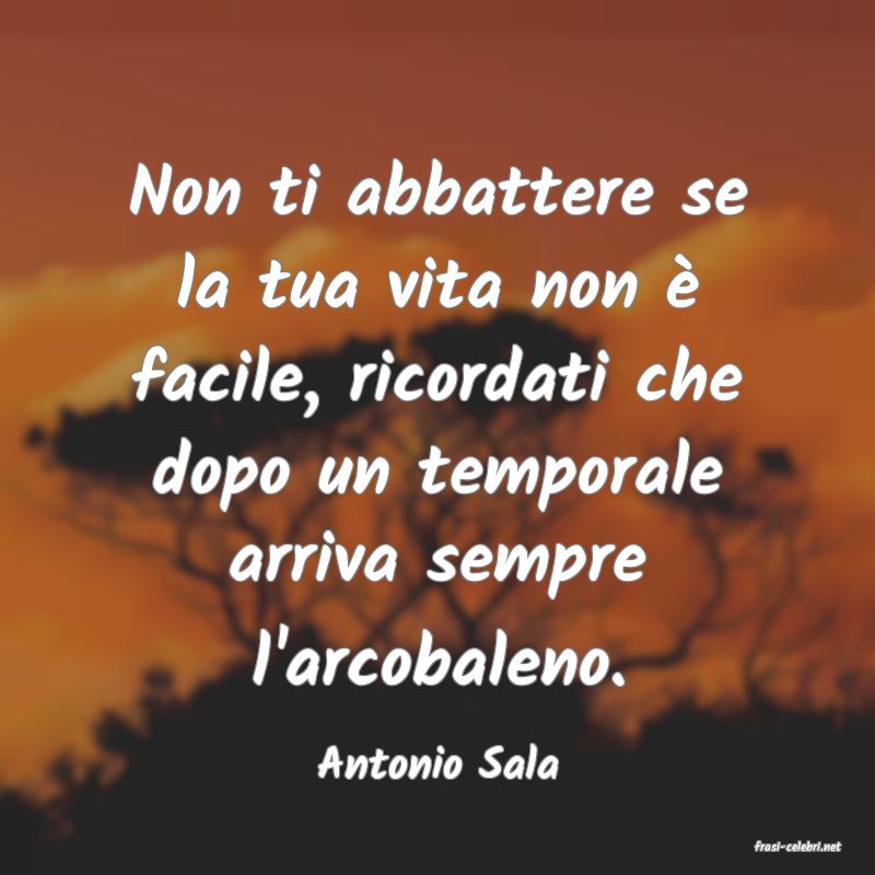 frasi di  Antonio Sala
