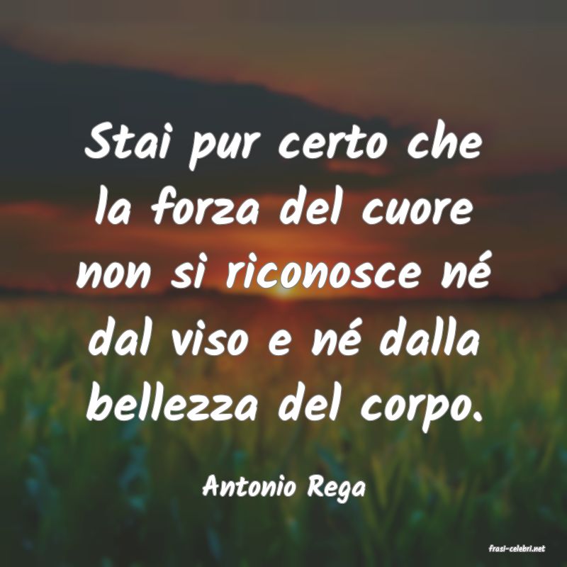 frasi di  Antonio Rega
