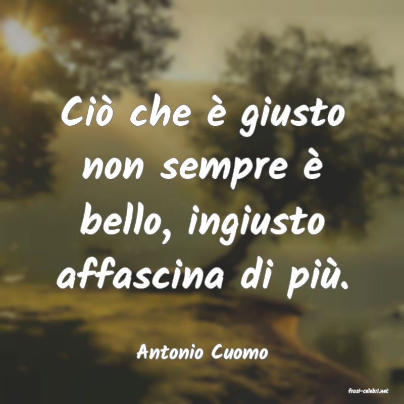 frasi di  Antonio Cuomo
