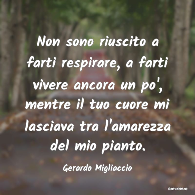 frasi di  Gerardo Migliaccio

