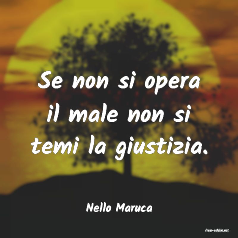frasi di  Nello Maruca
