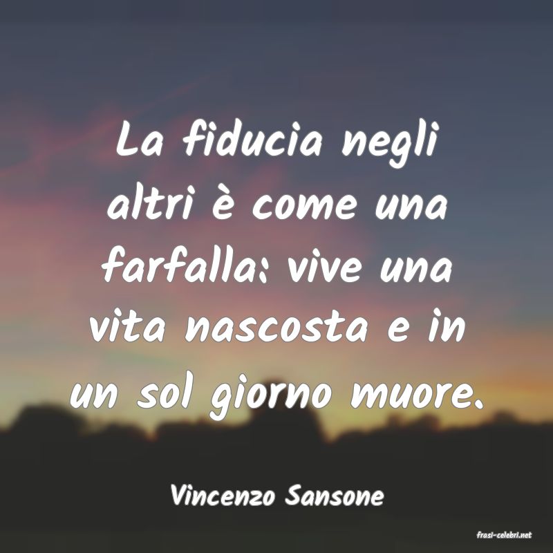 frasi di Vincenzo Sansone