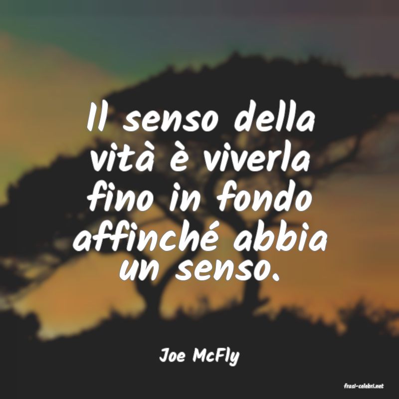 frasi di Joe McFly