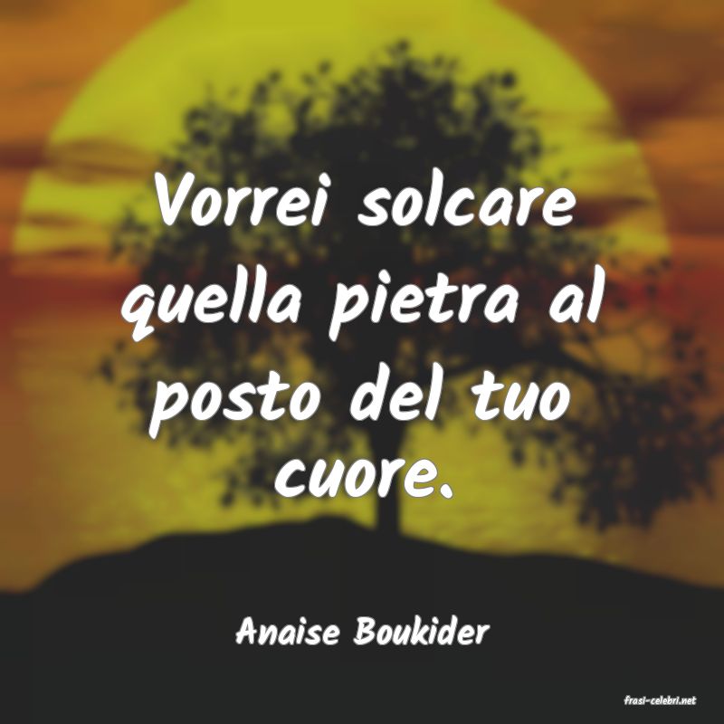 frasi di  Anaise Boukider
