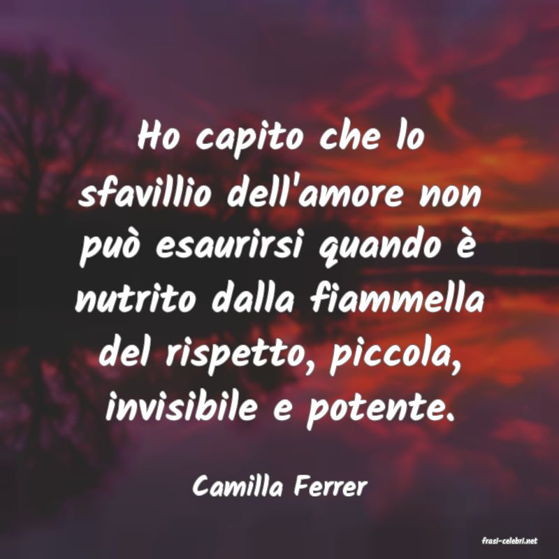 frasi di  Camilla Ferrer

