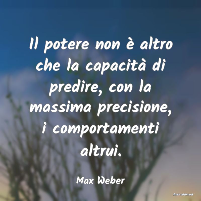 frasi di Max Weber