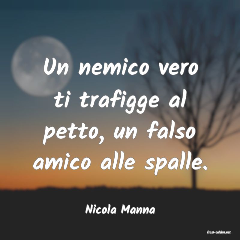 frasi di  Nicola Manna
