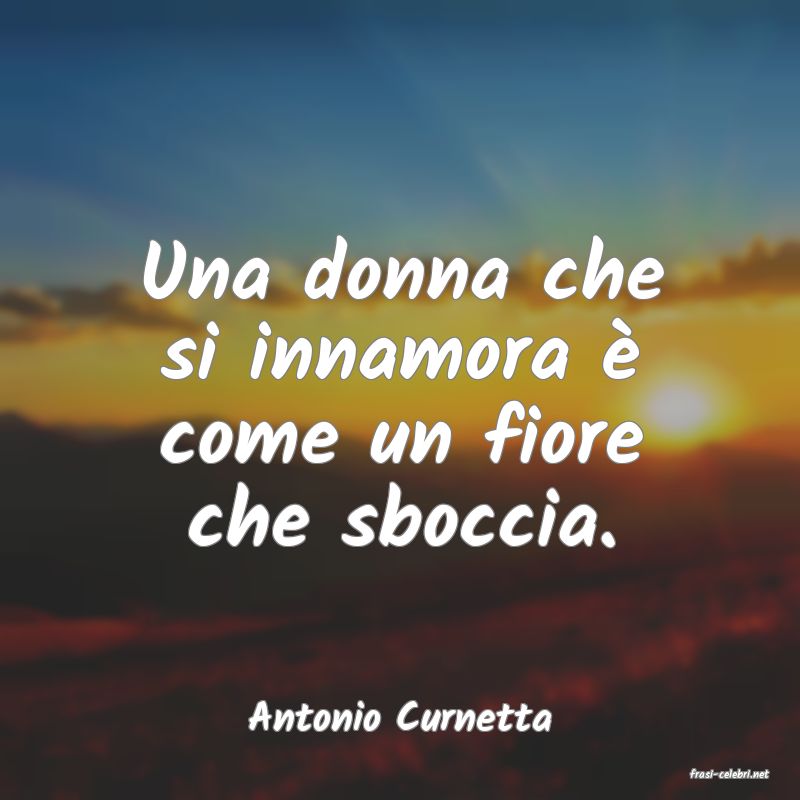 frasi di Antonio Curnetta