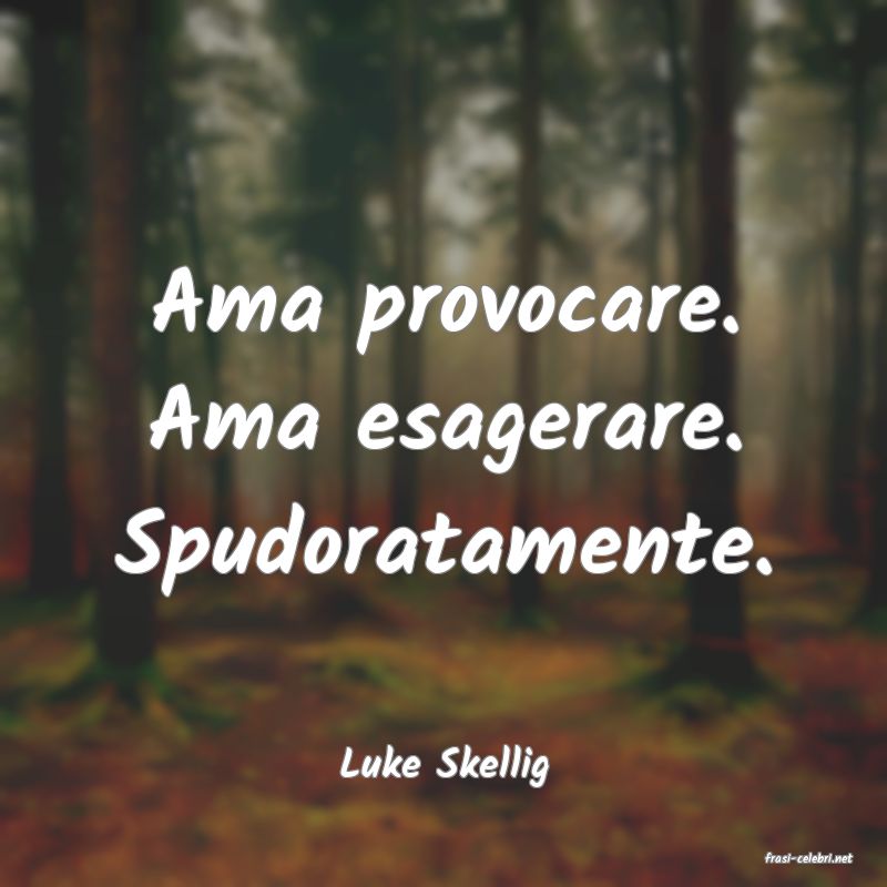 frasi di  Luke Skellig
