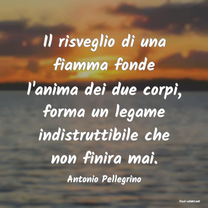frasi di  Antonio Pellegrino
