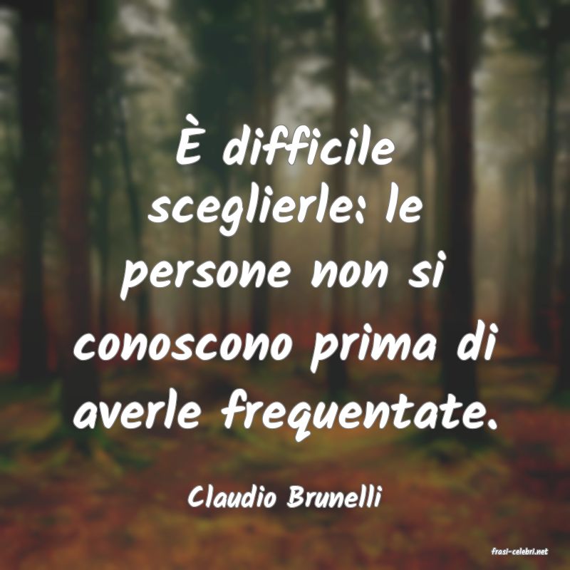 frasi di  Claudio Brunelli
