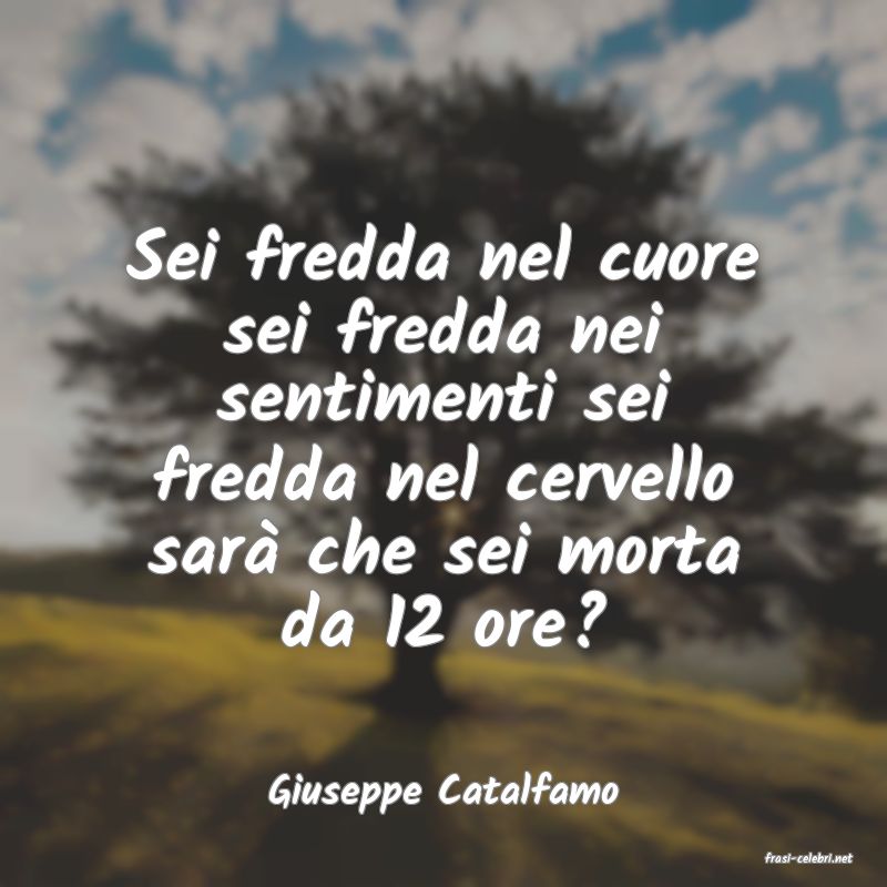 frasi di Giuseppe Catalfamo