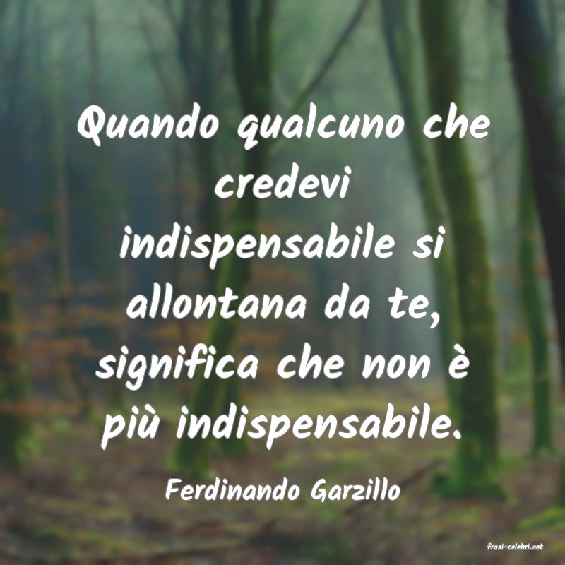 frasi di  Ferdinando Garzillo
