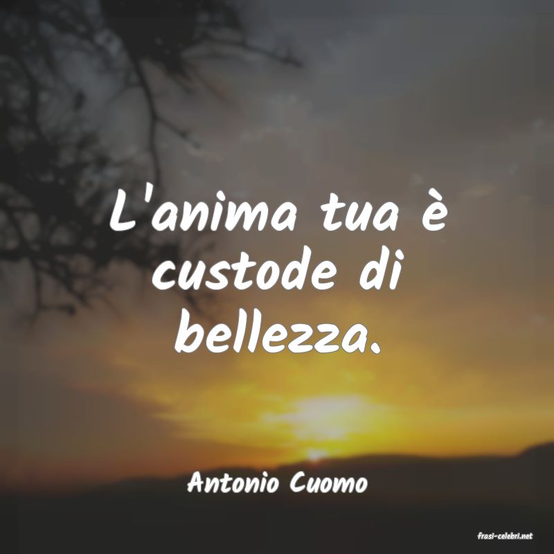 frasi di  Antonio Cuomo
