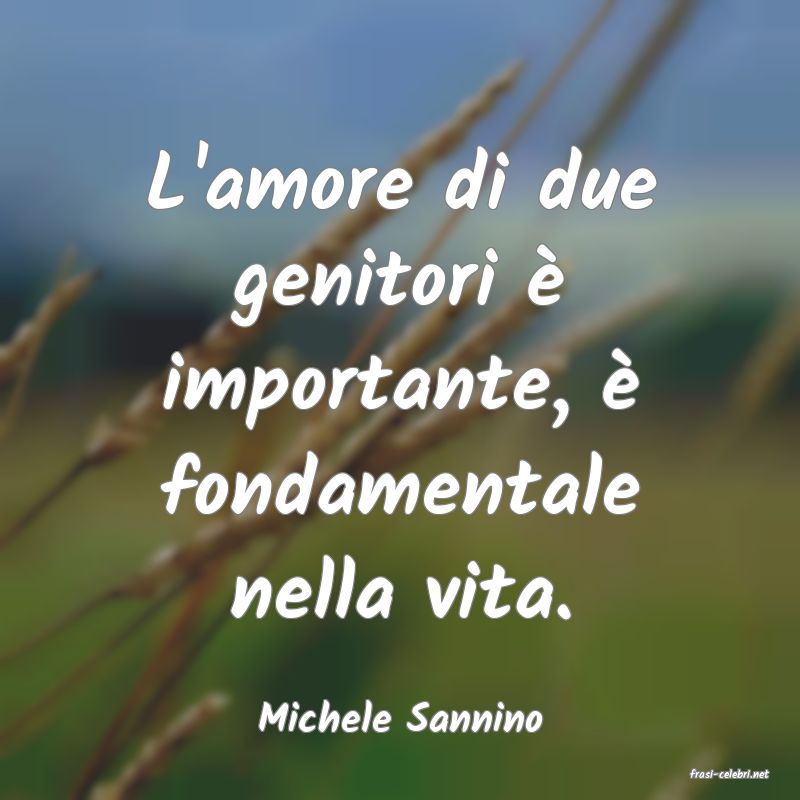 frasi di Michele Sannino