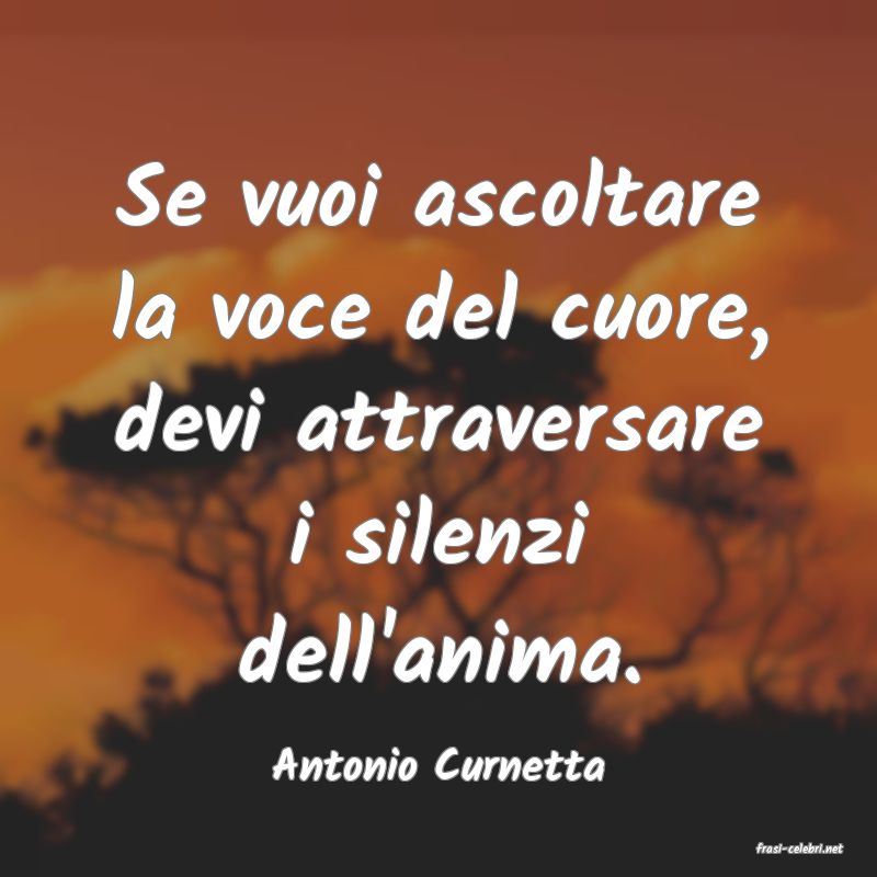frasi di  Antonio Curnetta
