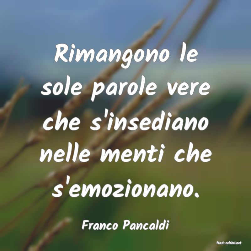 frasi di Franco Pancaldi