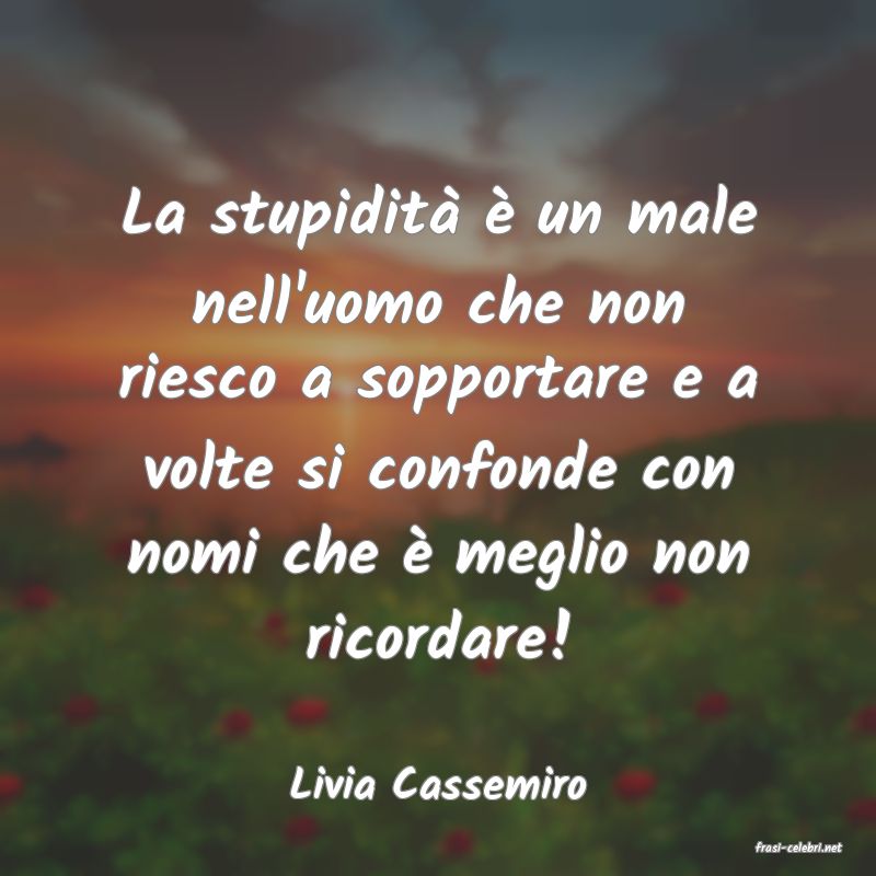 frasi di Livia Cassemiro