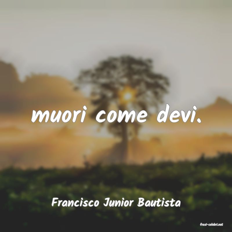 frasi di  Francisco Junior Bautista
