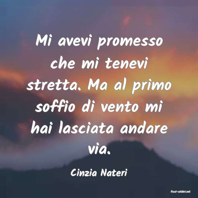 frasi di  Cinzia Nateri
