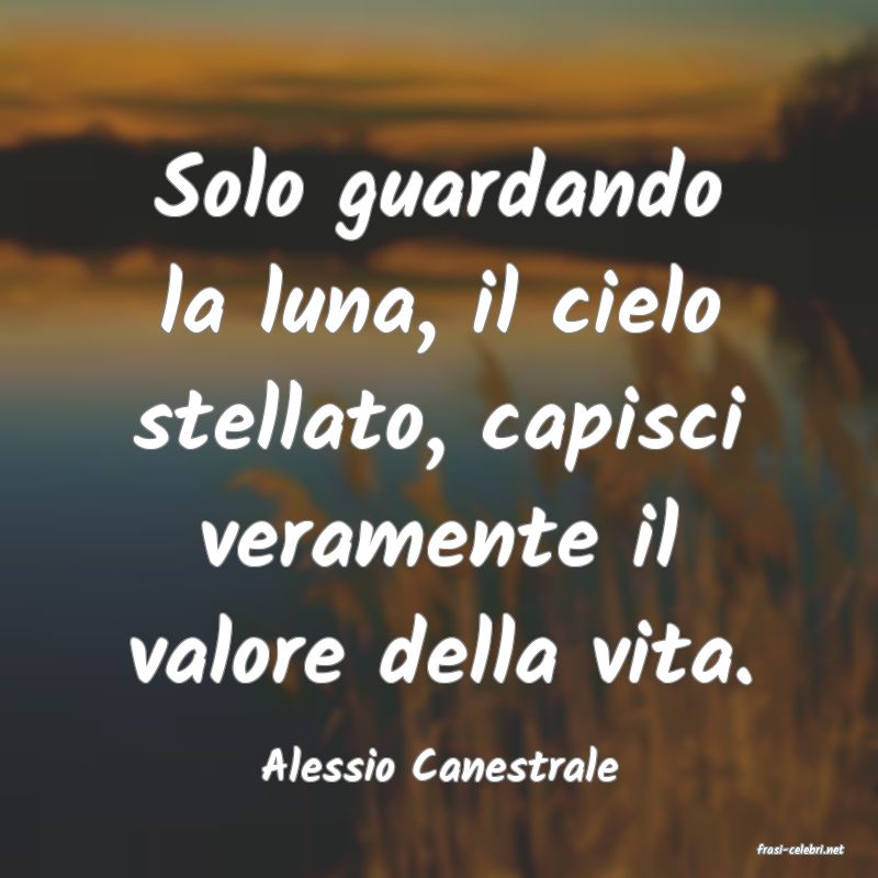 frasi di  Alessio Canestrale
