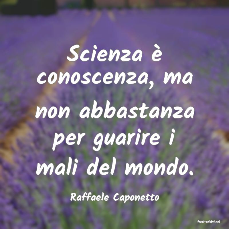 frasi di  Raffaele Caponetto
