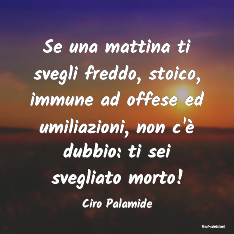 frasi di  Ciro Palamide
