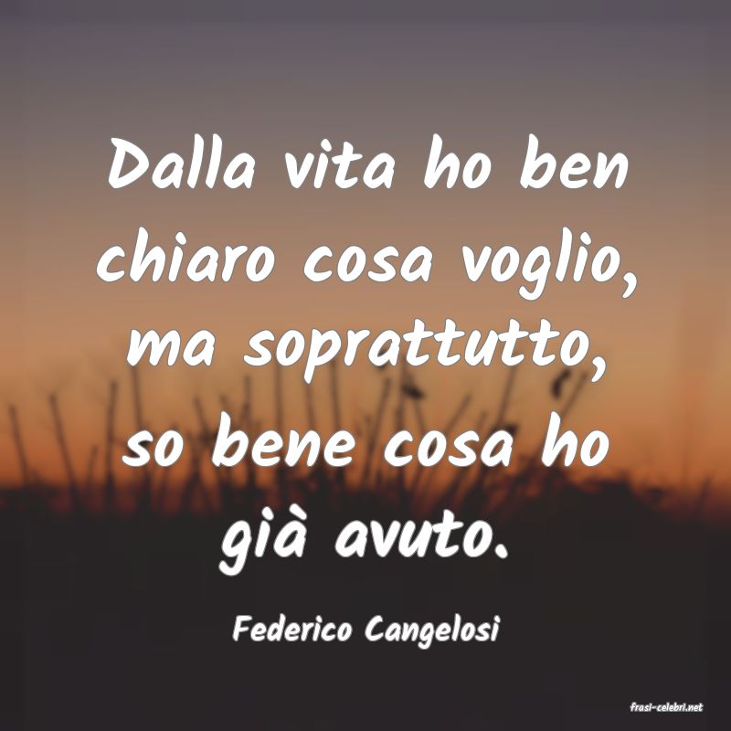 frasi di  Federico Cangelosi
