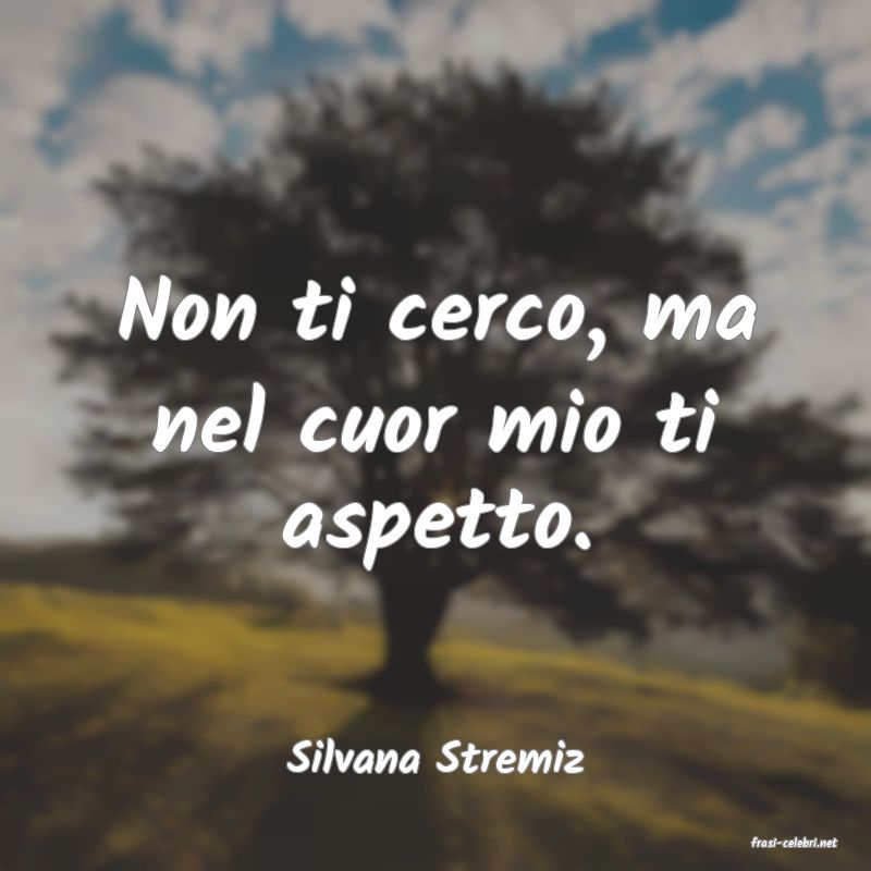 frasi di  Silvana Stremiz

