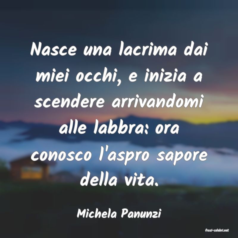 frasi di Michela Panunzi