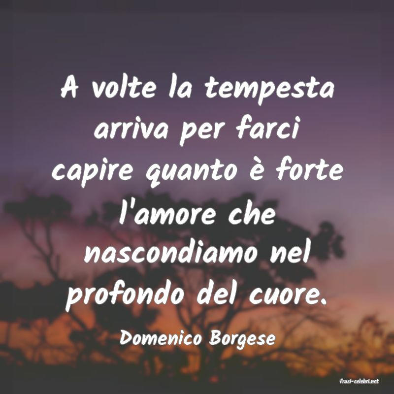 frasi di  Domenico Borgese
