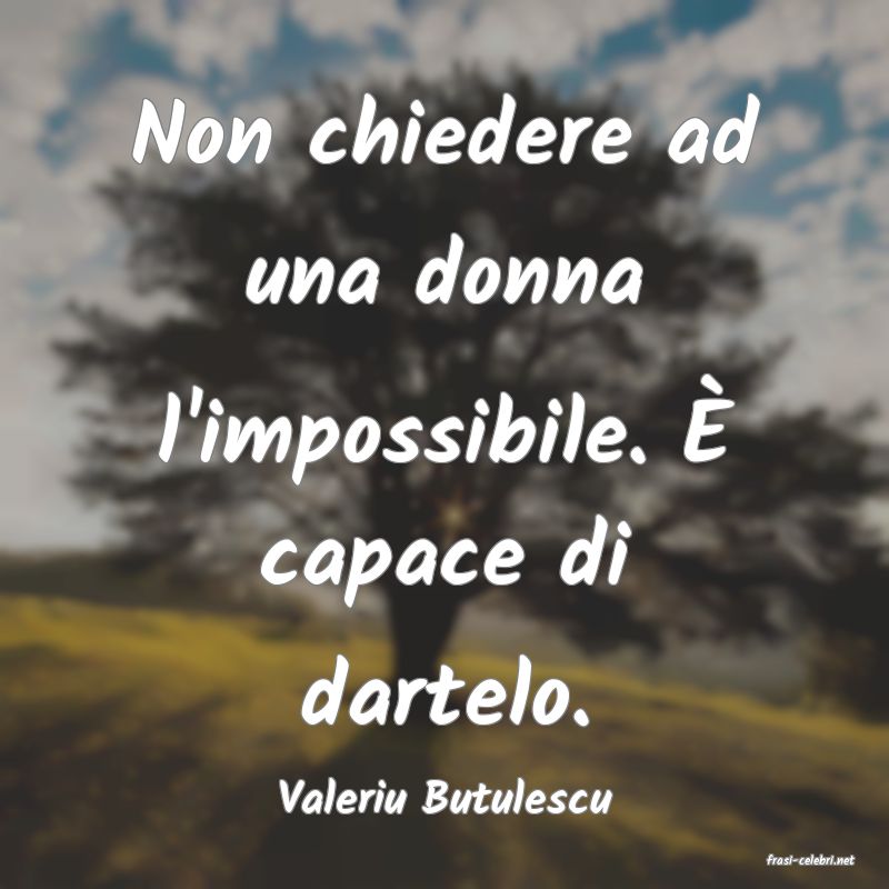 frasi di Valeriu Butulescu