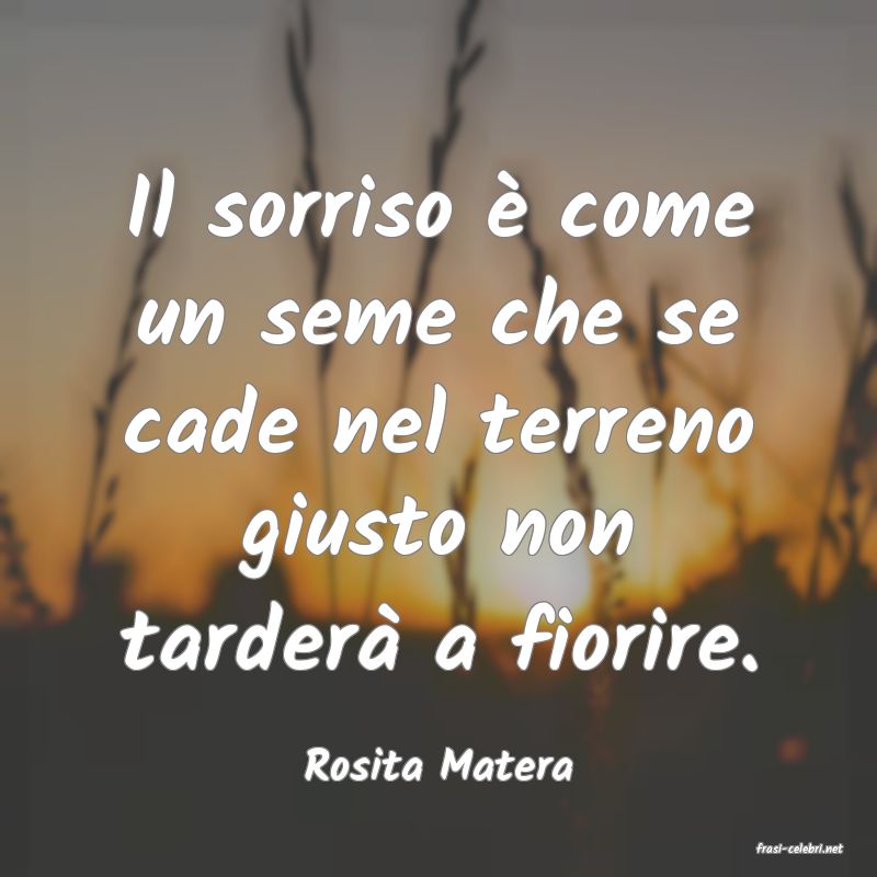 frasi di  Rosita Matera

