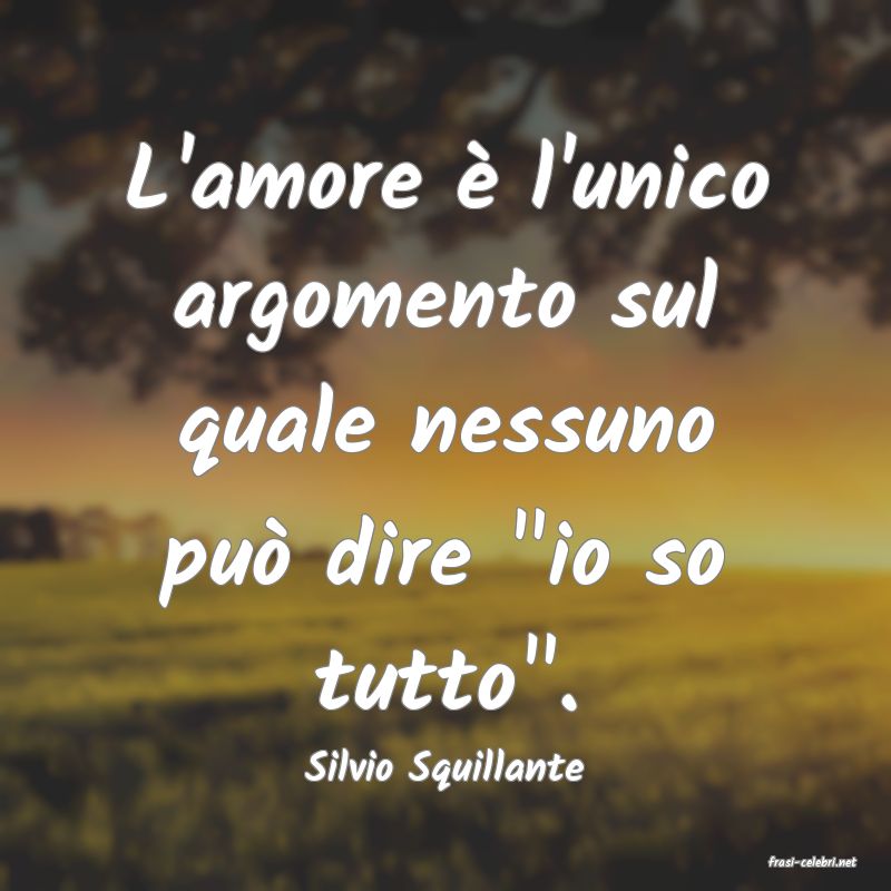 frasi di  Silvio Squillante
