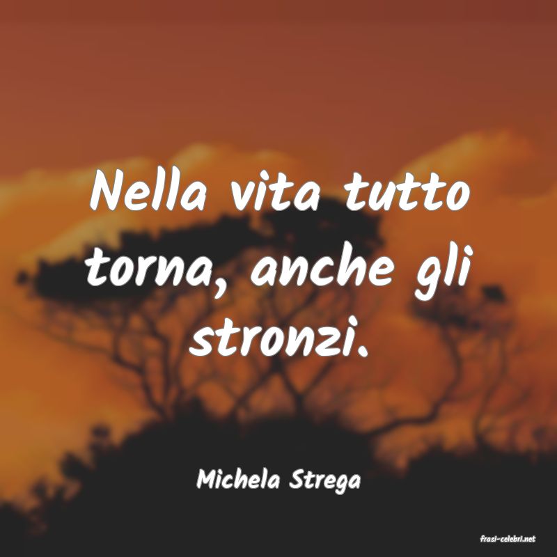 frasi di  Michela Strega
