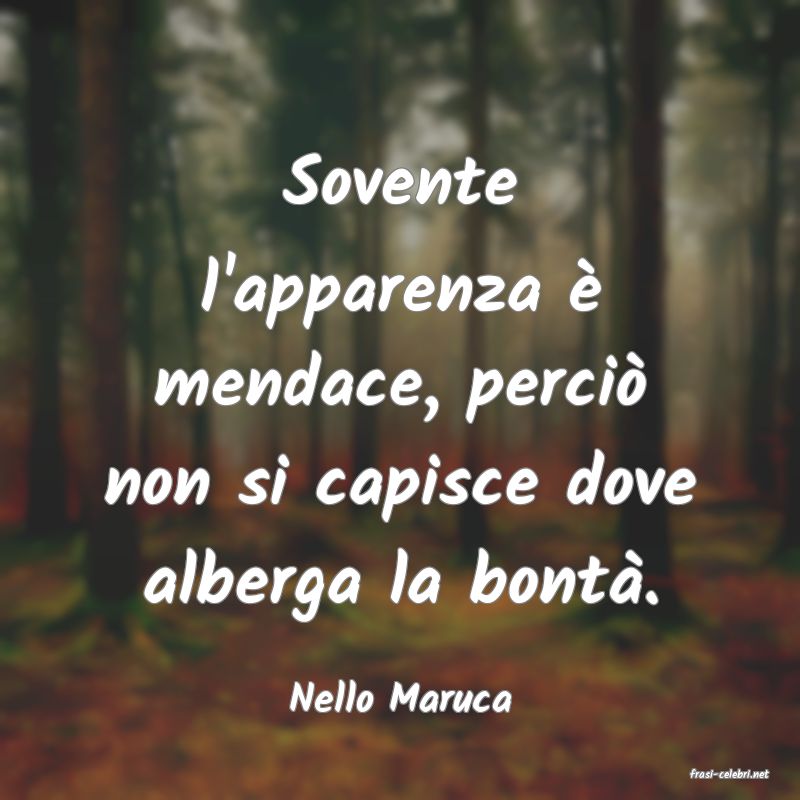 frasi di  Nello Maruca
