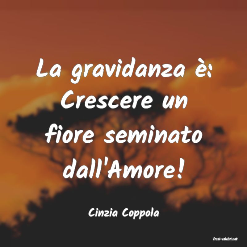 frasi di  Cinzia Coppola
