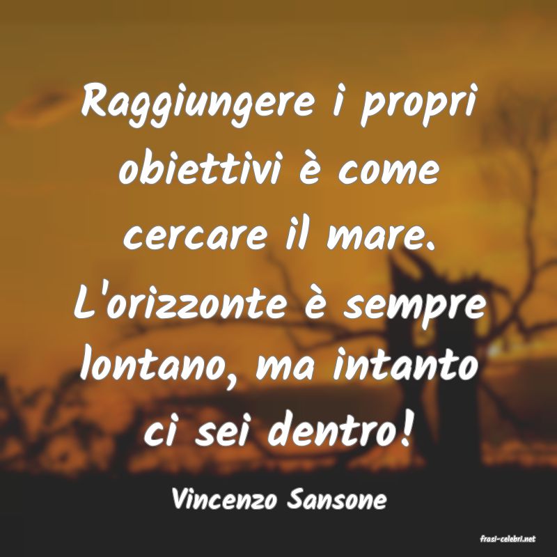 frasi di Vincenzo Sansone