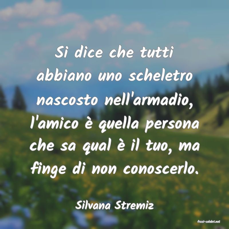 frasi di Silvana Stremiz