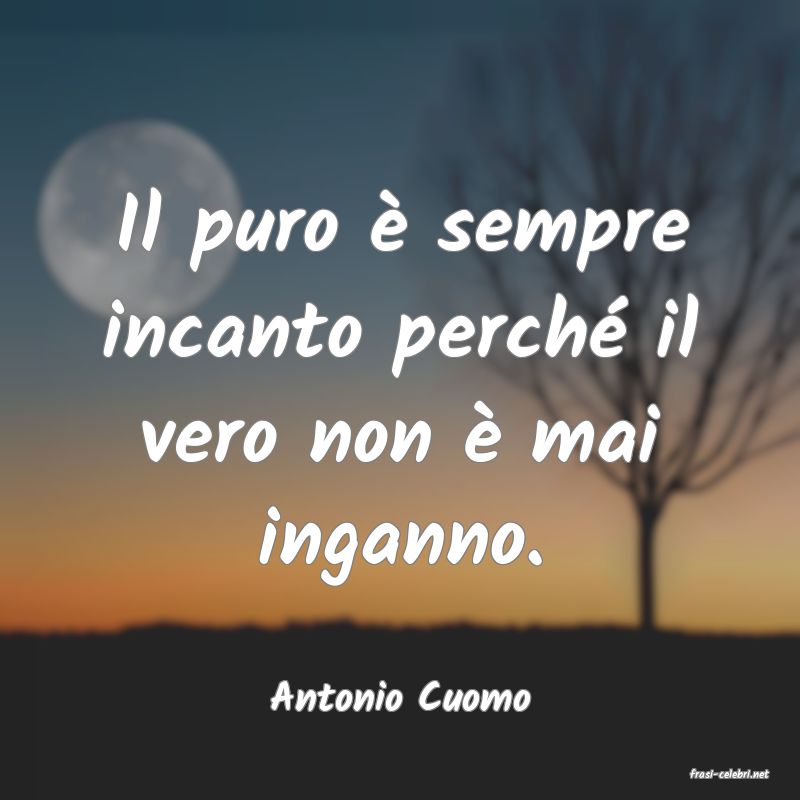 frasi di  Antonio Cuomo
