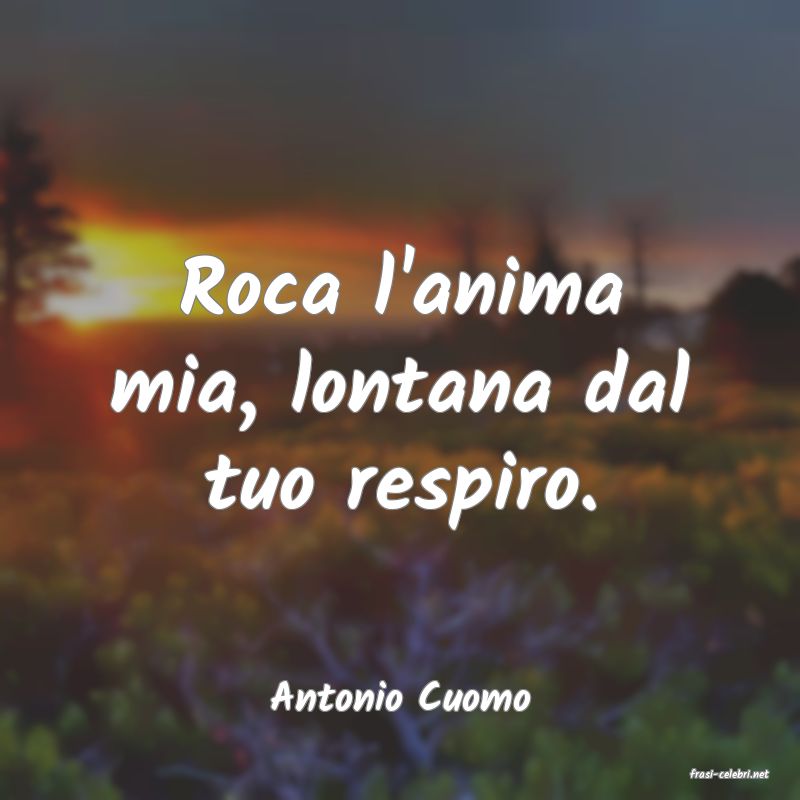 frasi di  Antonio Cuomo
