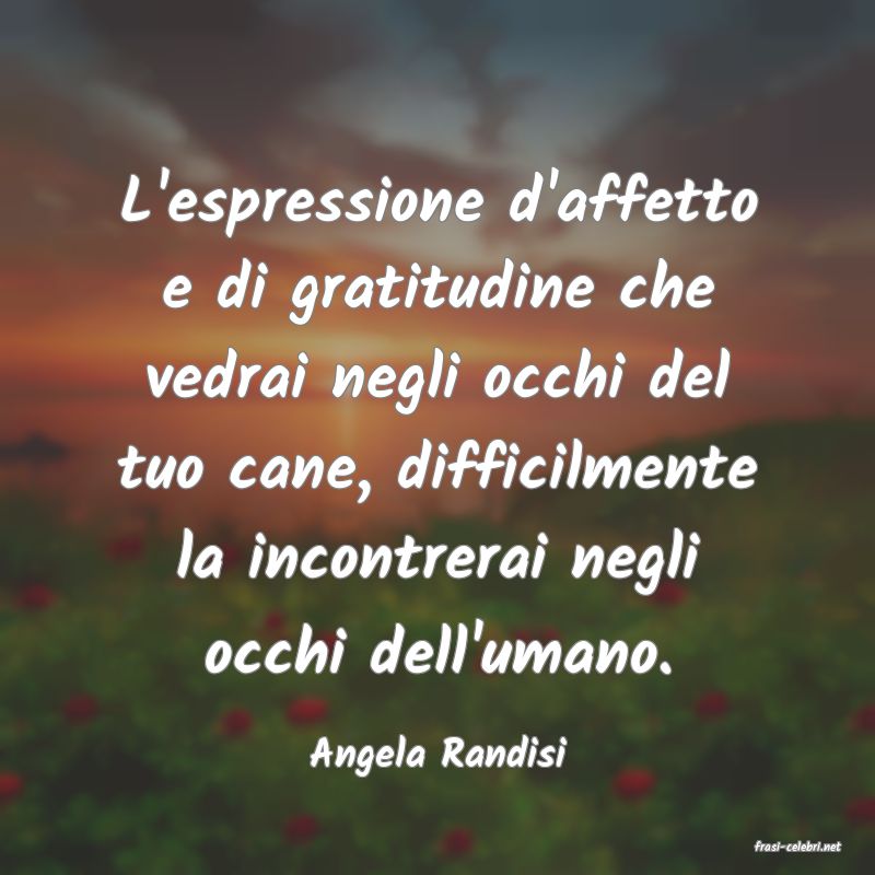 frasi di  Angela Randisi
