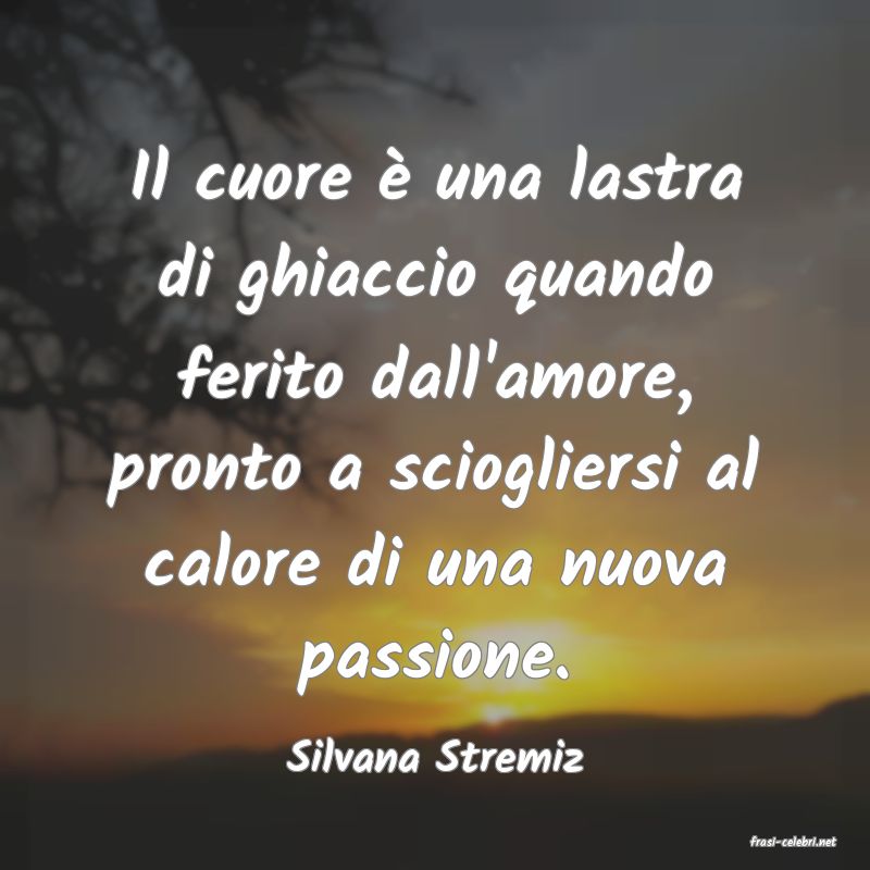 frasi di  Silvana Stremiz
