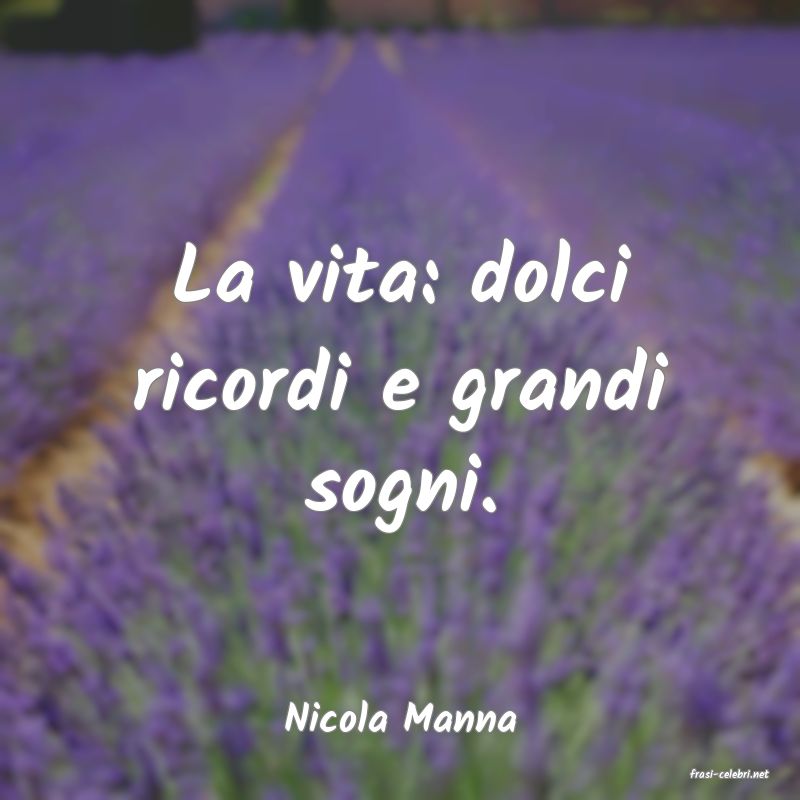 frasi di Nicola Manna