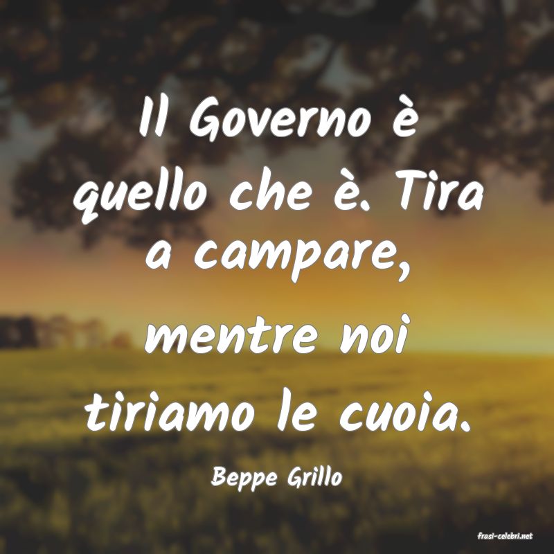 frasi di  Beppe Grillo
