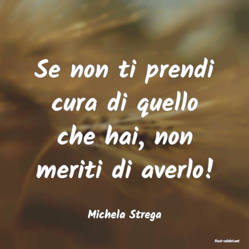 frasi di  Michela Strega
