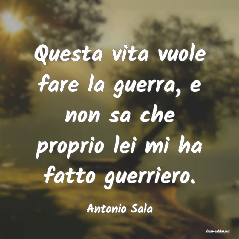 frasi di  Antonio Sala
