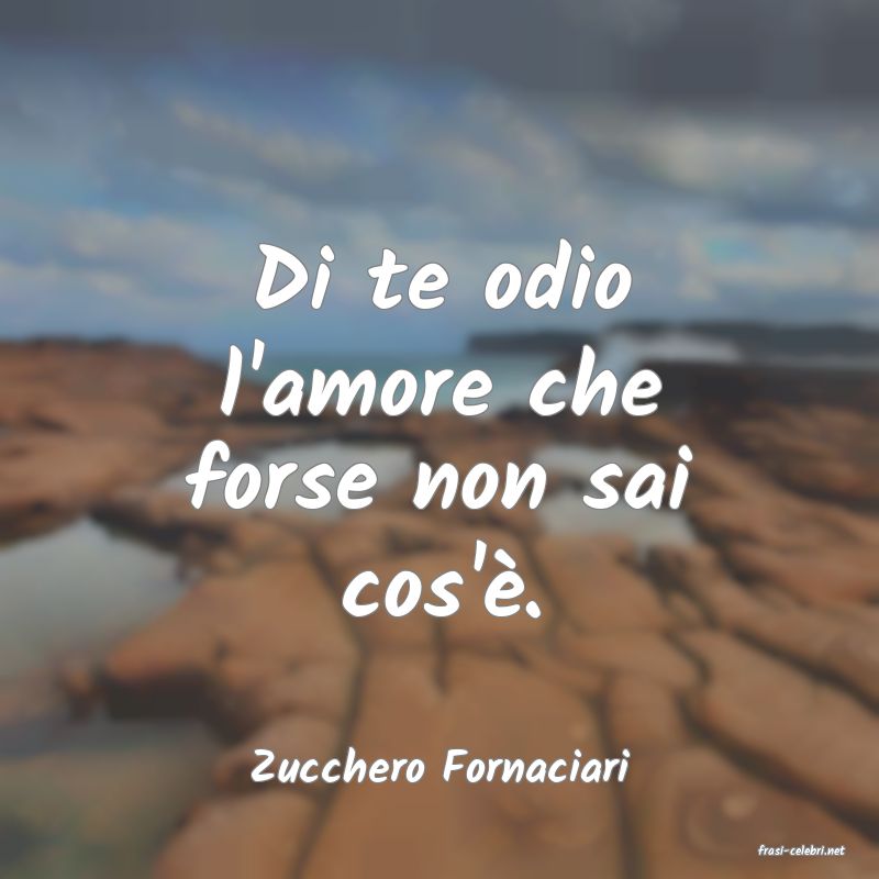 frasi di  Zucchero Fornaciari

