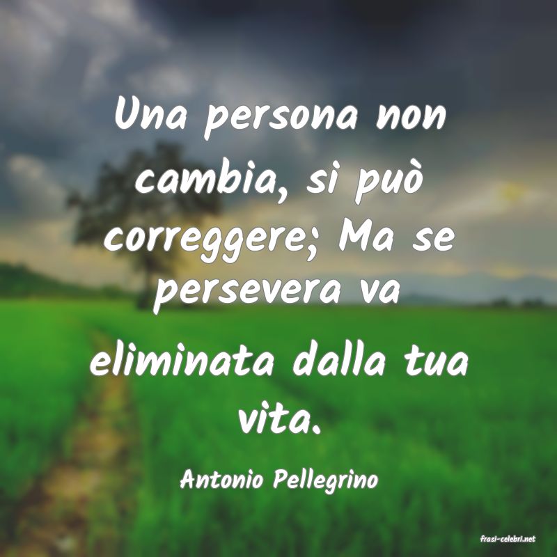 frasi di  Antonio Pellegrino
