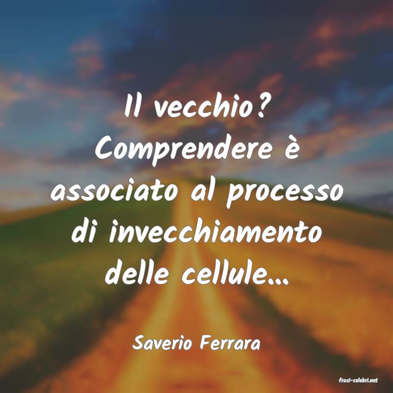 frasi di  Saverio Ferrara

